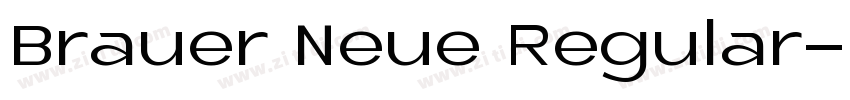Brauer Neue Regular字体转换